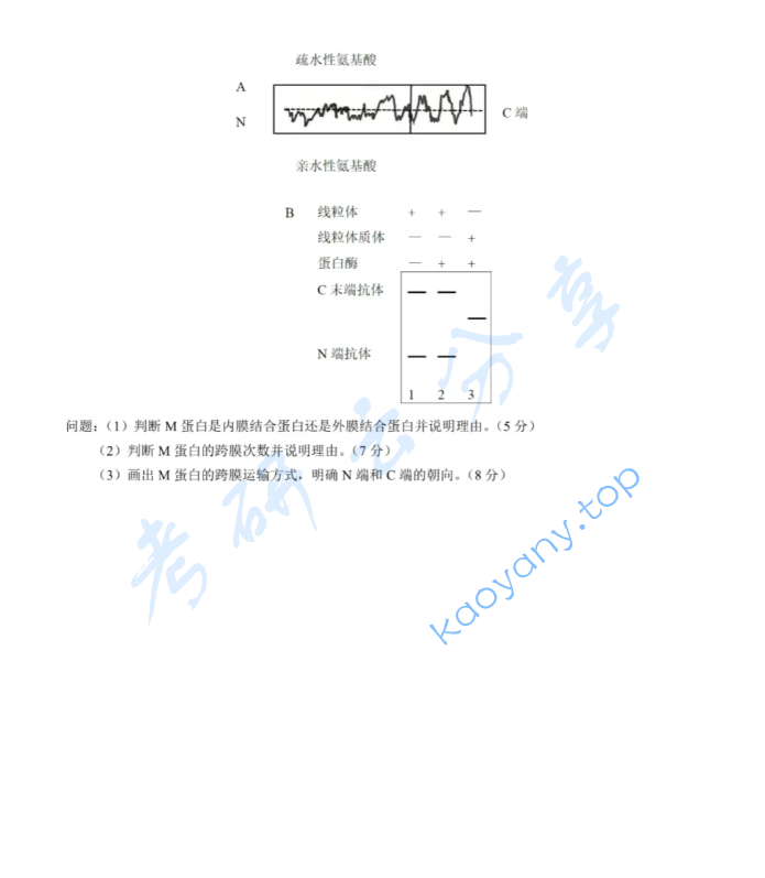 2023年厦门大学620分子细胞生物学考研真题,image.png,厦门大学分子细胞生物学,厦门大学,分子细胞生物学,第4张