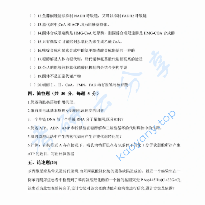 2024年西北大学338生物化学考研真题,image.png,西北大学生物化学,西北大学,生物化学,第4张