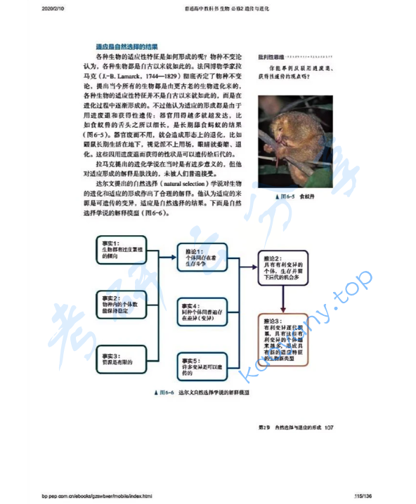 2026年湖南师范大学871生物学教学论考研真题,image.png,湖南师范大学生物学教学论,湖南师范大学,生物学教学论,第3张